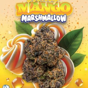 Honey Mango