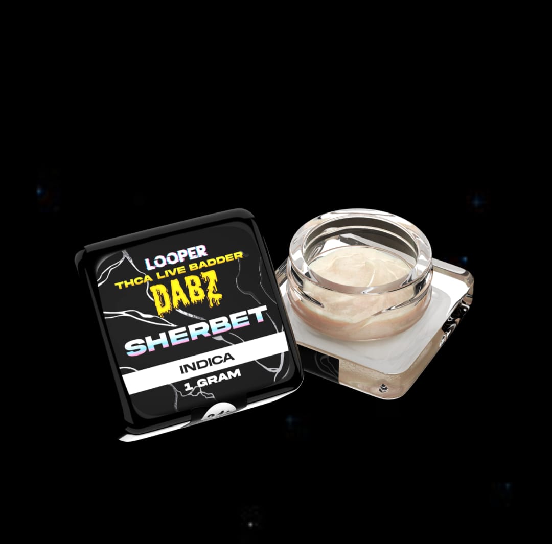 WhatsApp Image 2026-02-12 at 5.29.16 PM