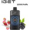 IGET ONE – CHUPA CHUPS BLACKBERRY – 12000 PUFFS